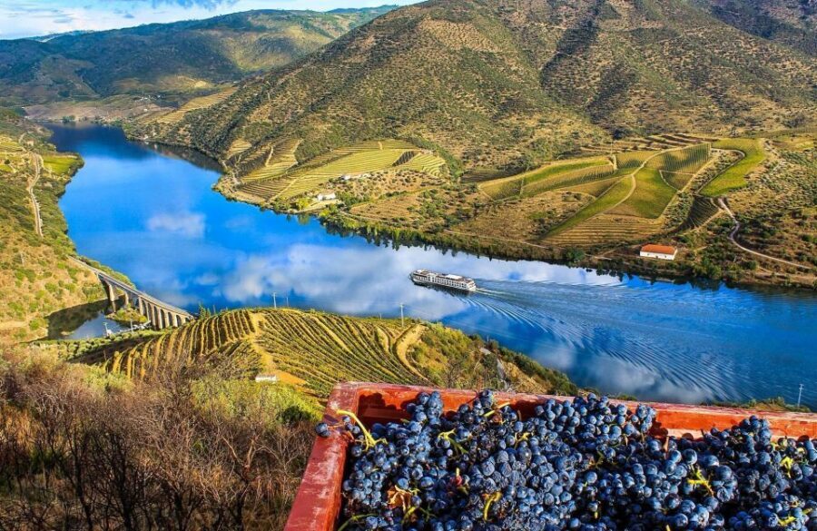 Private Tour: Douro Valley Wine and Food From Porto - Lunch in the Douro: What You Pay For and How to Choose