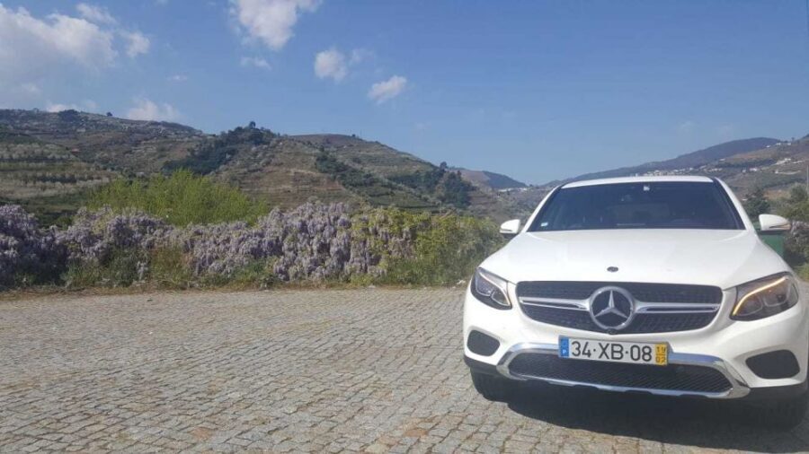 Private Tour: Douro Valley Wine and Food From Porto - Price and Value for a Private 6–9 Hour Day