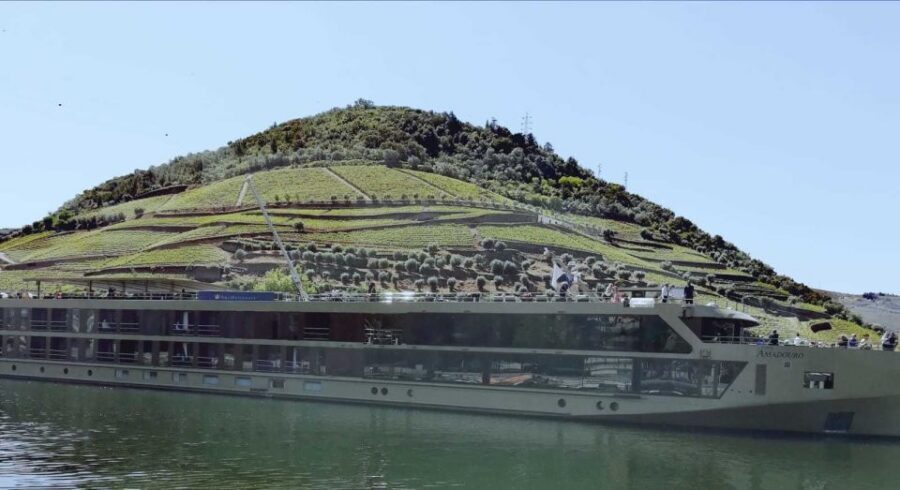 Private Tour: Douro Valley Wine and Food From Porto - Who This Tour Fits Best (And Who Should Skip It)