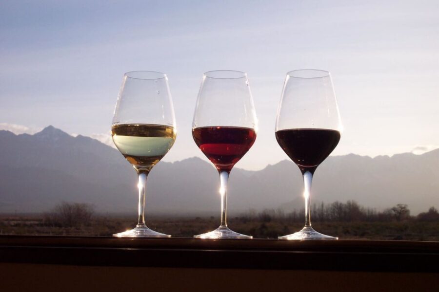 Private Tour: Douro Valley Wine and Food From Porto - Should You Book This Private Douro Valley Wine and Food Tour?