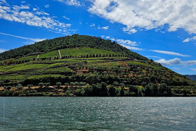 Private Tour from Porto : Douro Valley and Green Wines - Price and Value: What $216.26 Per Person Buys You