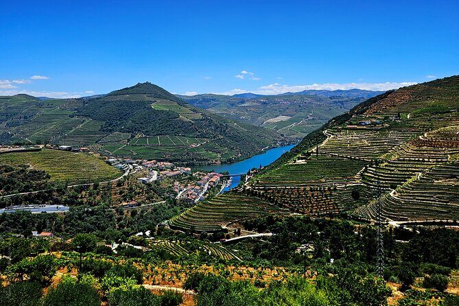 Private Tour from Porto : Douro Valley and Green Wines - Who This Tour Is Best For (and Who Might Want Another Plan)