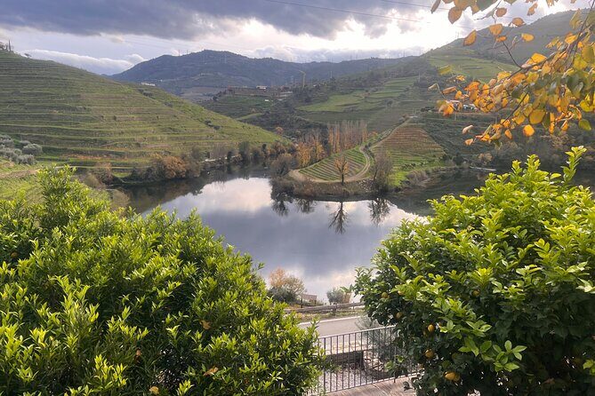 Private Tour From Porto To Douro Valley With River Boat Ride - Peso da Régua and the National Road 222 views