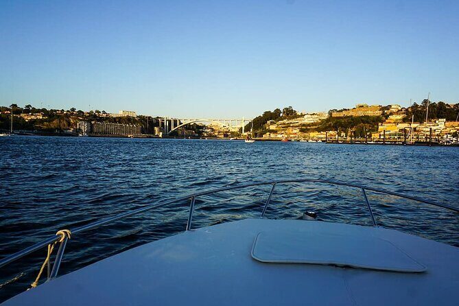 Private Tour of the Bridges and Douro River 2h, group price up to 6px - Ponte da Arrábida: The Big Reinforced-Concrete Arch Moment