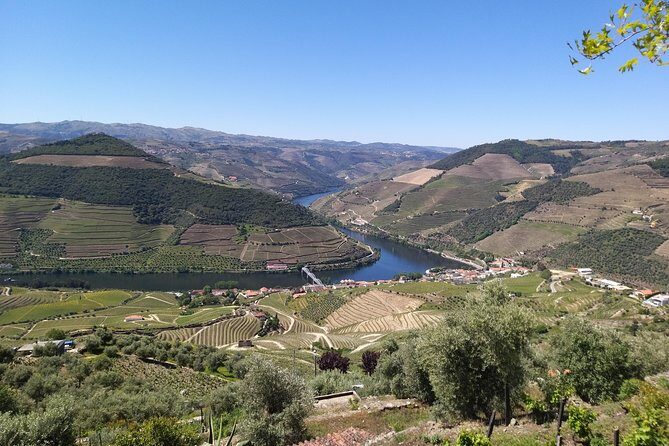 Private Tour to stunning Douro Valley and most renowned wineries - Key highlights to pay attention to