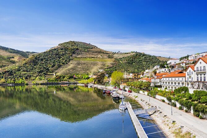 Private Wine & Food Tour in Douro - Starting in Porto at 9:00: pick-up that saves your time