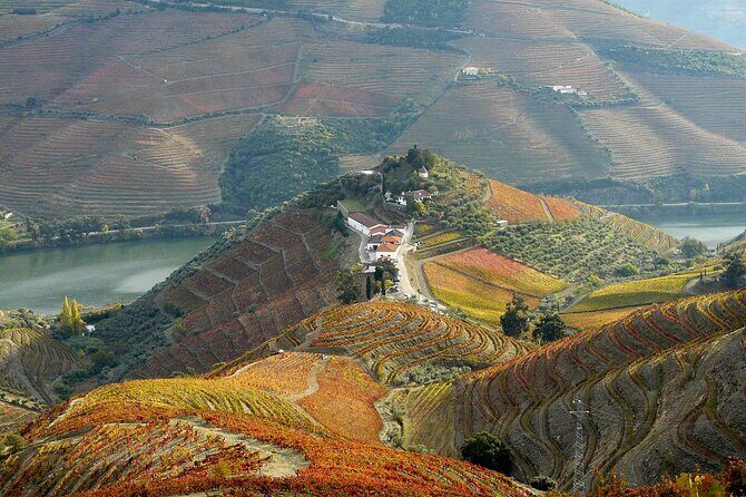 Private Wine & Food Tour in Douro - Quinta Nova de Nossa Senhora do Carmo: a winemaker-paired 4-course dinner