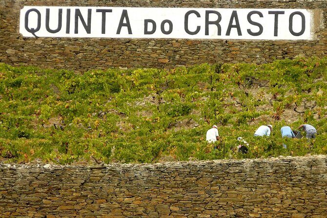 Private Wine & Food Tour in Douro - The guides and drivers: what good communication feels like