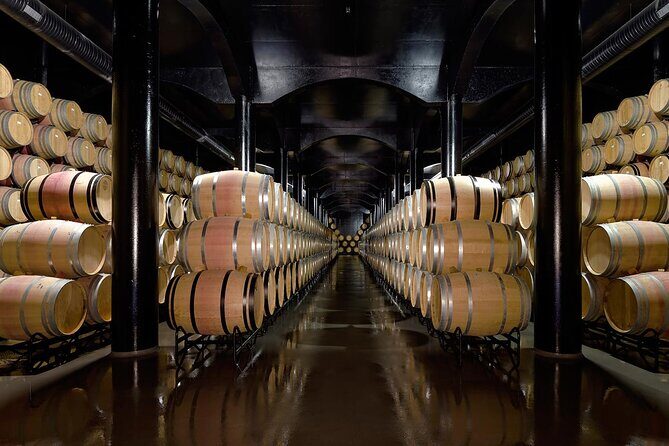 Private Wine & Food Tour in Douro - How the Douro story connects across three producers