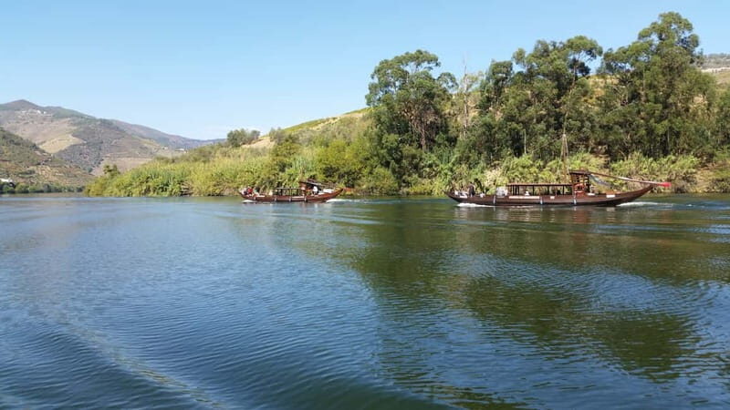 Small Group: Douro Valley Wine Tasting from Porto - Key things to know before you go
