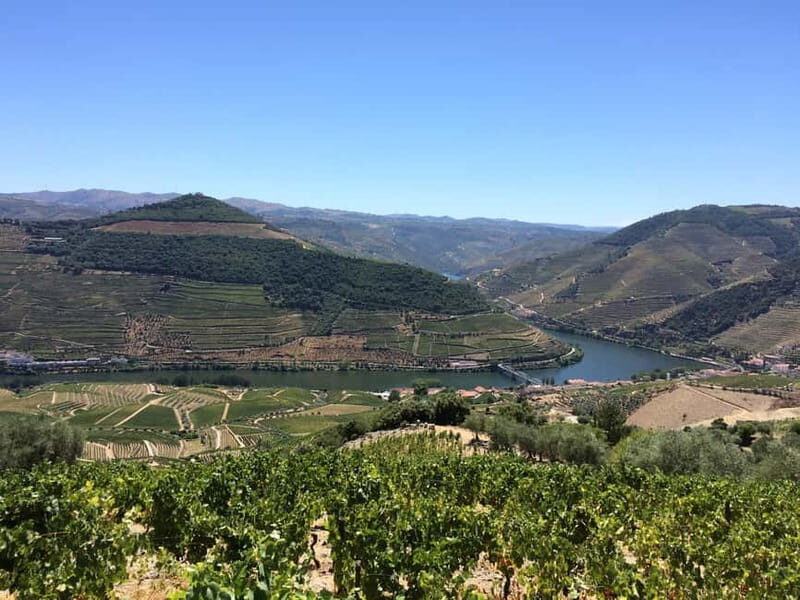 Small Group: Douro Valley Wine Tasting from Porto - Who should book this Douro wine day?