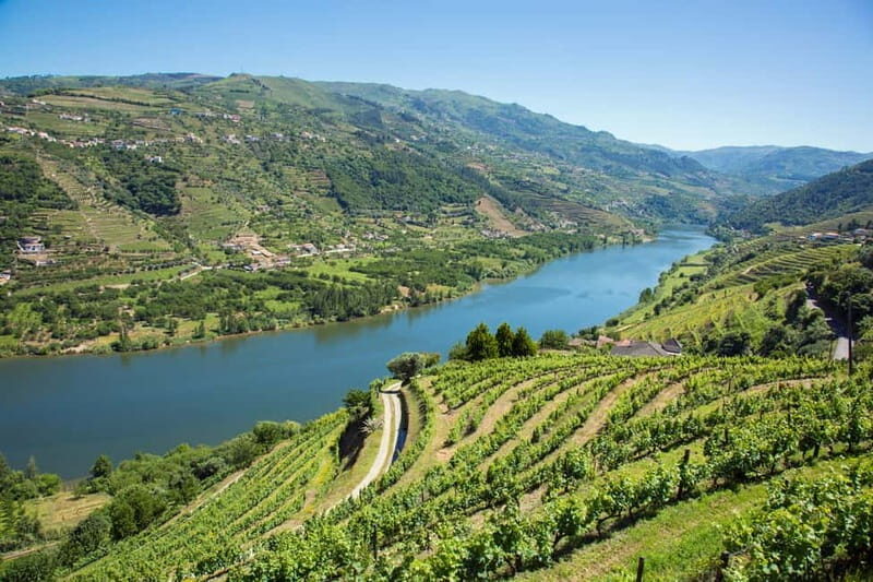 Small Group: Douro Valley Wine Tasting from Porto - From Porto to the Douro River: the ride that sets the mood