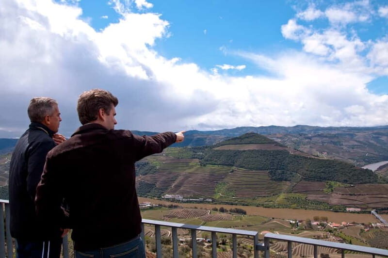 Small Group: Douro Valley Wine Tasting from Porto - Sabrosa lunch: Portuguese comfort food with local wines