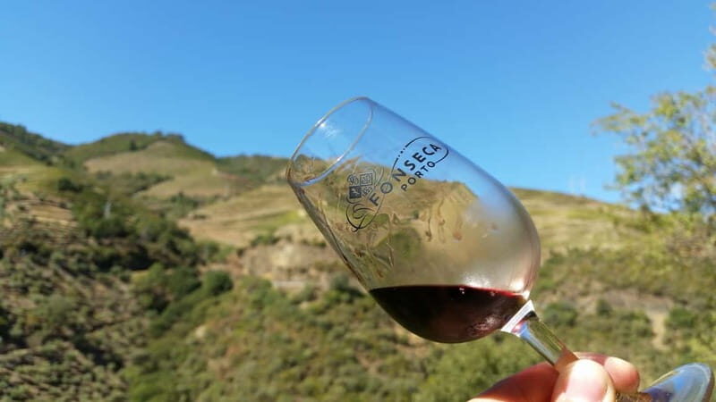 Small Group: Douro Valley Wine Tasting from Porto - The timing reality: how to handle a full 9-hour day