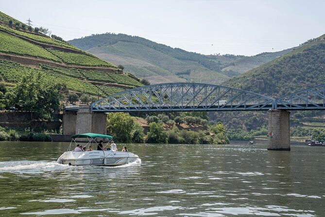Small Group Douro Valley Wine Tour with Lunch and Cruise - Porto pickup that actually saves your morning