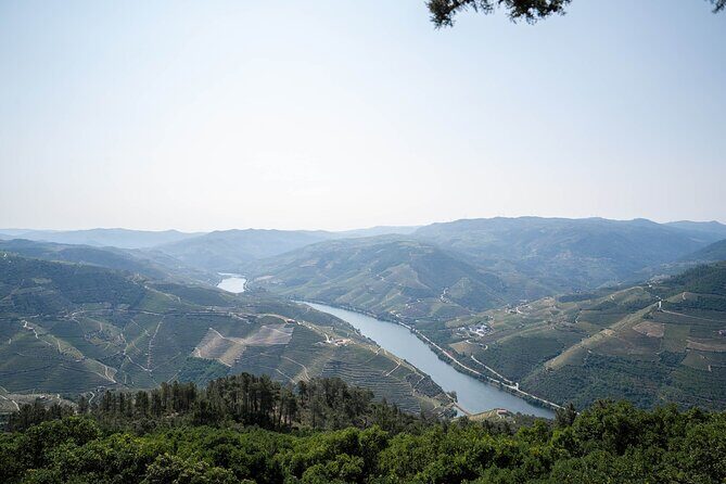 Small Group Douro Valley Wine Tour with Lunch and Cruise - Winery stop two: another estate, another set of flavors
