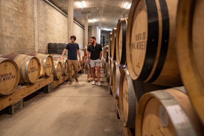 Small Group Douro Valley Wine Tour with Lunch and Cruise - The drive back to Porto: when your camera needs a rest