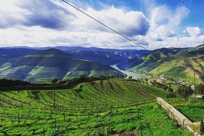 Small Group Douro Wine Valley Tour with Lunch and Wine Tasting - Porto-to-Douro: what you’re really buying with this full-day tour