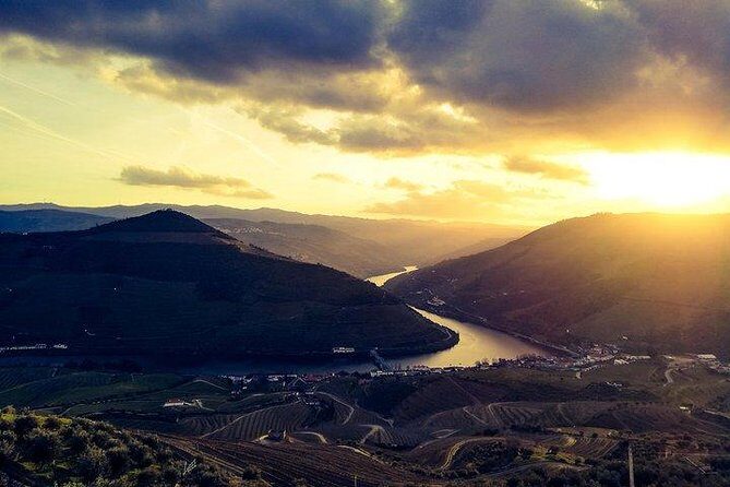 Top Highlights of Douro Valley From Porto Full Day Private Tour - Bruno-led winemaking talk: port tastings plus dry Douro wines