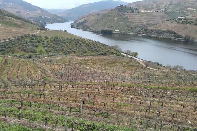 Tour- Douro Wine Region- The Douro Wine Route - Porto morning to Pinhão river cruise: where the day starts making sense