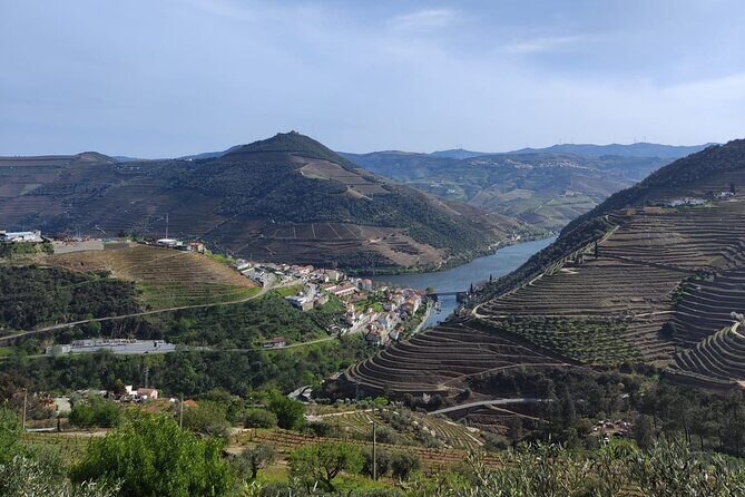 Tour- Douro Wine Region- The Douro Wine Route - Group size, guide style, and why this feels more personal