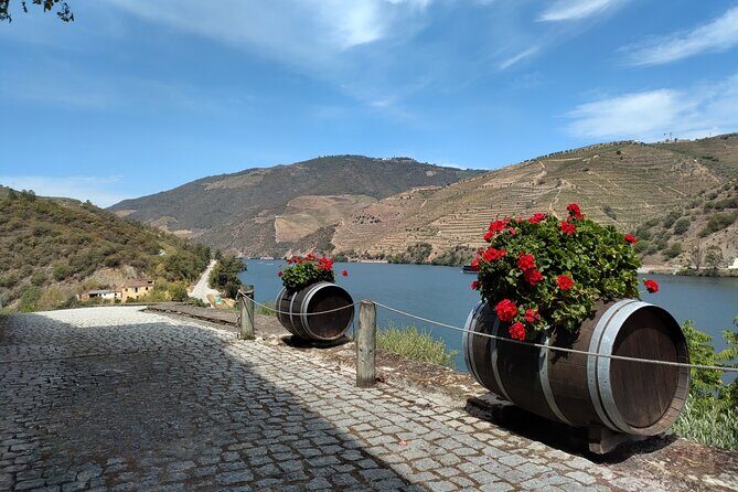 Tour- Douro Wine Region- The Douro Wine Route - Timing, transport, and how to not feel rushed