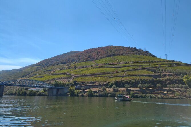 Tour- Douro Wine Region- The Douro Wine Route - Pickup options: the meeting point vs private comfort