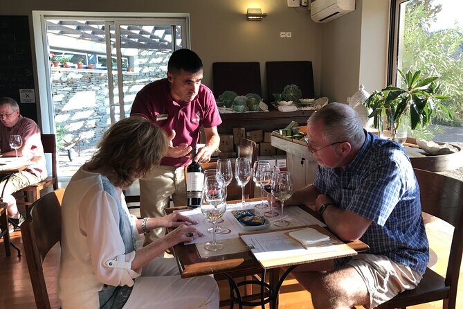 Tour to the Palace of Mateus and the Douro - Provesende Vineyard Village Plus Lunch: Where the Day Gets Human