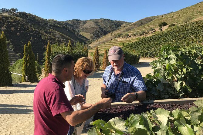 Tour to the Palace of Mateus and the Douro - Viewpoint Time: The Douro Part You Came For