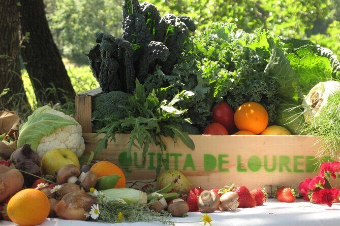Traditional Cooking Class, Farm Tour & Lunch in the Douro Valley - Key highlights you should know before you go