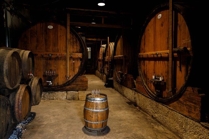 VALE DOURO, Premium Wine Tour, Wine Lunch, Private Boat - Vale do Douro winery visit: tastings with context, not just pours