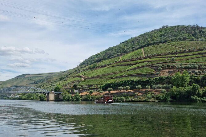 VALE DOURO, Premium Wine Tour, Wine Lunch, Private Boat - Farm lunch with wine pairings: food is a major part of the deal