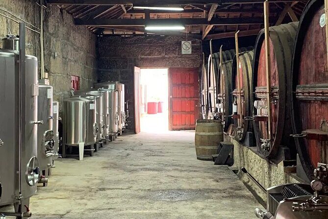 VALE DOURO, Premium Wine Tour, Wine Lunch, Private Boat - N222 scenic road stop: photo time, but don’t ignore the clock