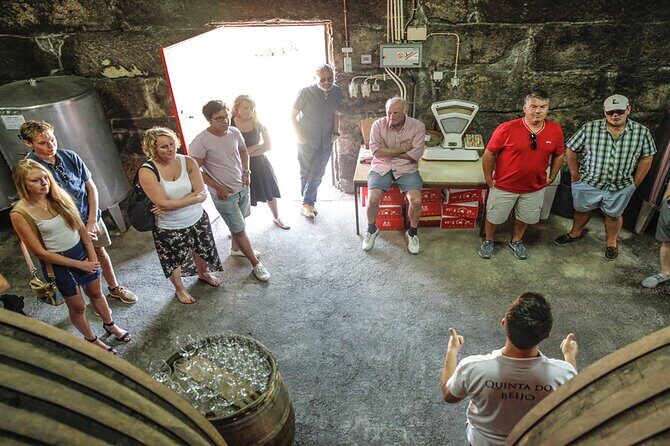 VALE DOURO, Premium Wine Tour, Wine Lunch, Private Boat - Second winery plus Porto tasting styles: the day’s payoff