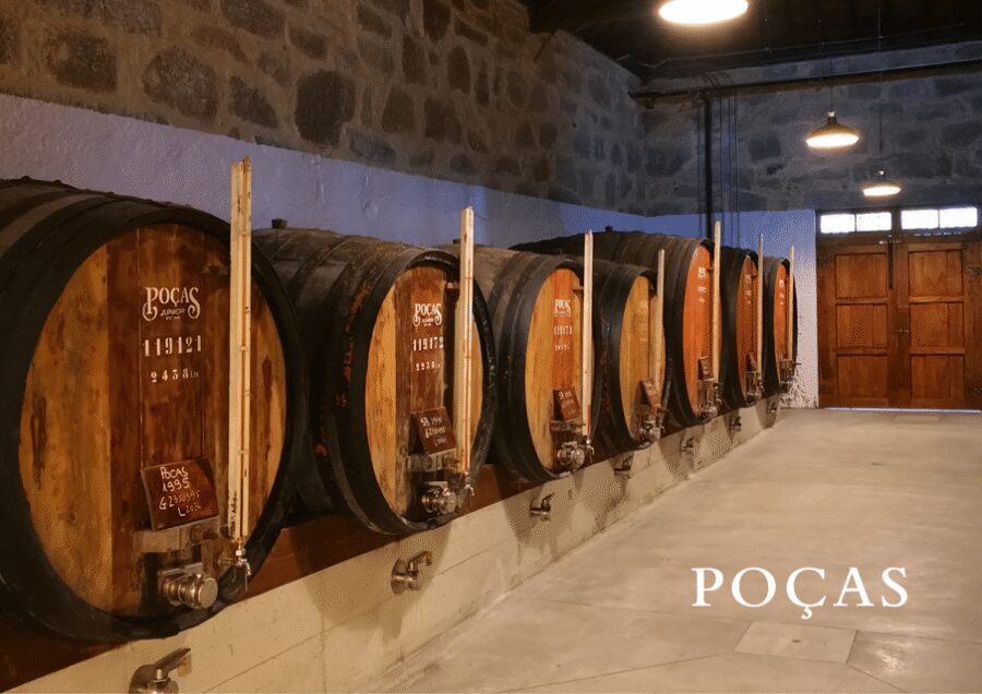 Vila Nova de Gaia: Winery Tour with 2 DOC Douro & 1 Port - Key highlights before you go