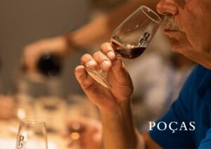 Vila Nova de Gaia: Winery Tour with 2 DOC Douro & 1 Port - The 100+ year cellar walk: why it’s more than atmosphere
