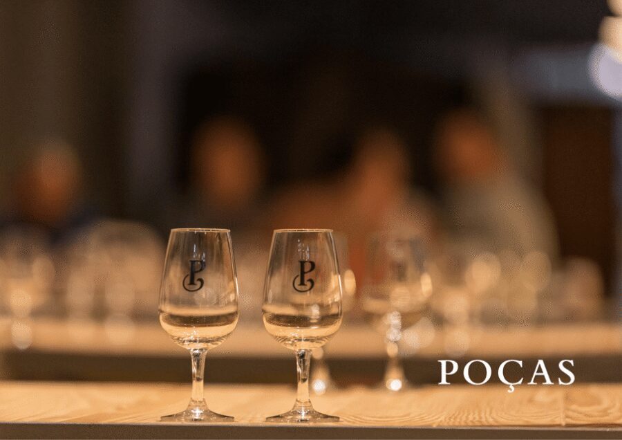 Vila Nova de Gaia: Winery Tour with 2 DOC Douro & 1 Port - Moving to the tasting room: the pace stays friendly