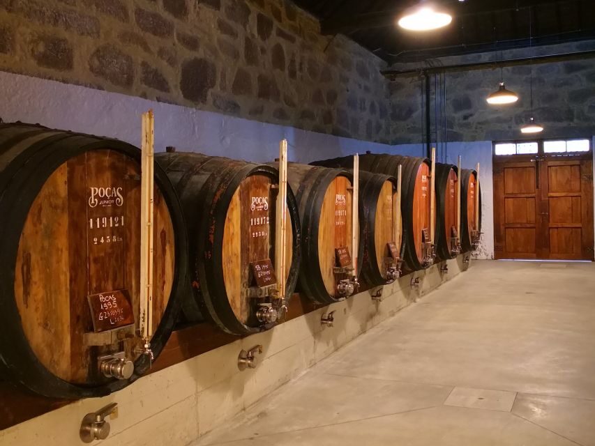 Vila Nova de Gaia: Winery Tour with 2 DOC Douro & 1 Port - Your DOC Douro whites and reds: Trava Línguas and Reserve Red