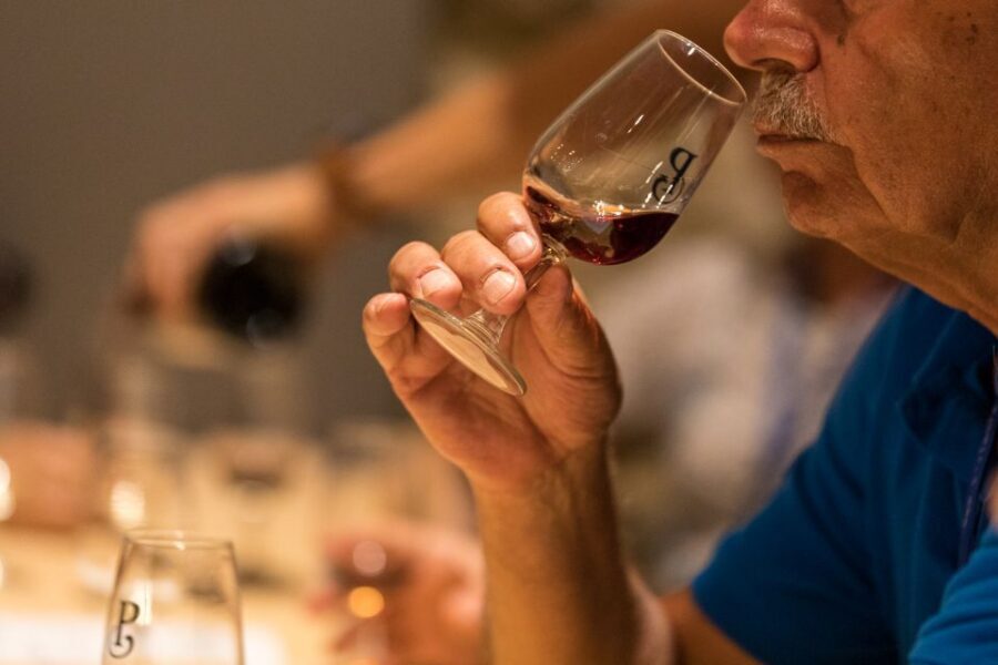 Vila Nova de Gaia: Winery Tour with 2 DOC Douro & 1 Port - What you can buy afterward (and how to choose)