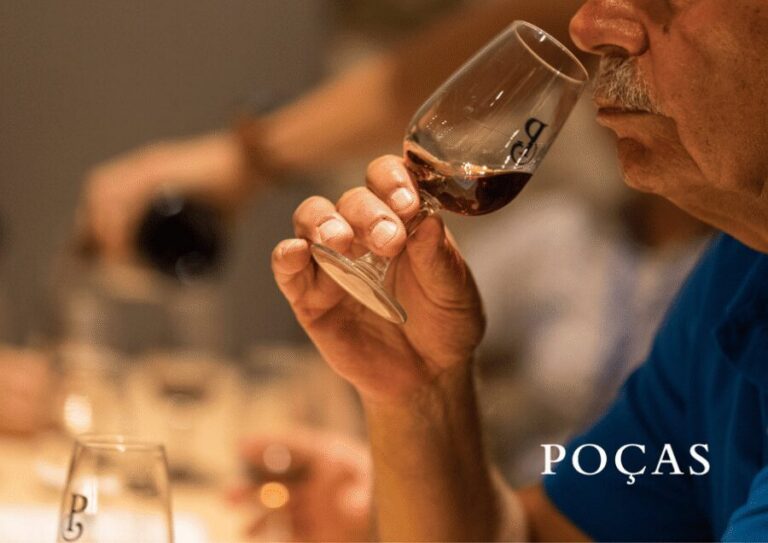 Vila Nova de Gaia: Winery Tour with 2 DOC Douro & 1 Port - The 100+ year cellar walk: why it’s more than atmosphere