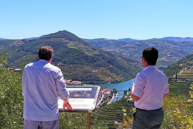 Wine Venture and Boat Trip in Douro Valley from Porto - Guides, Pace, and the Real Vibe of the Day