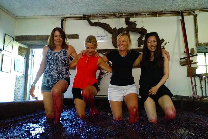 Wine Venture and Boat Trip in Douro Valley from Porto - Who This Tour Fits Best (And Who Might Skip It)